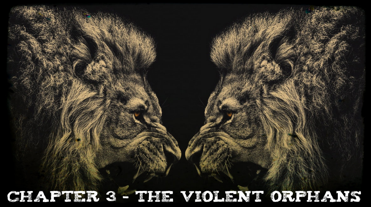 Chapter 3 - Orphans