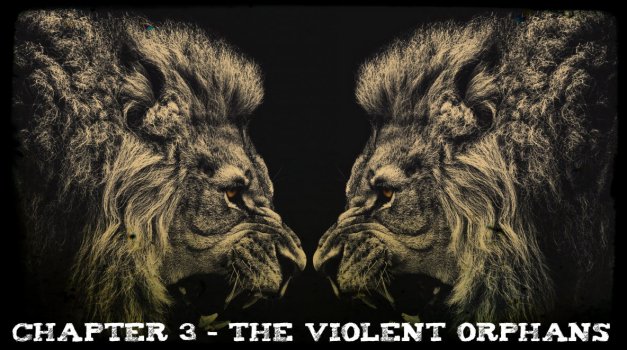 Chapter 3 - Orphans