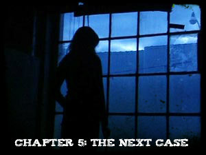 Chapter 5 - The Next Case