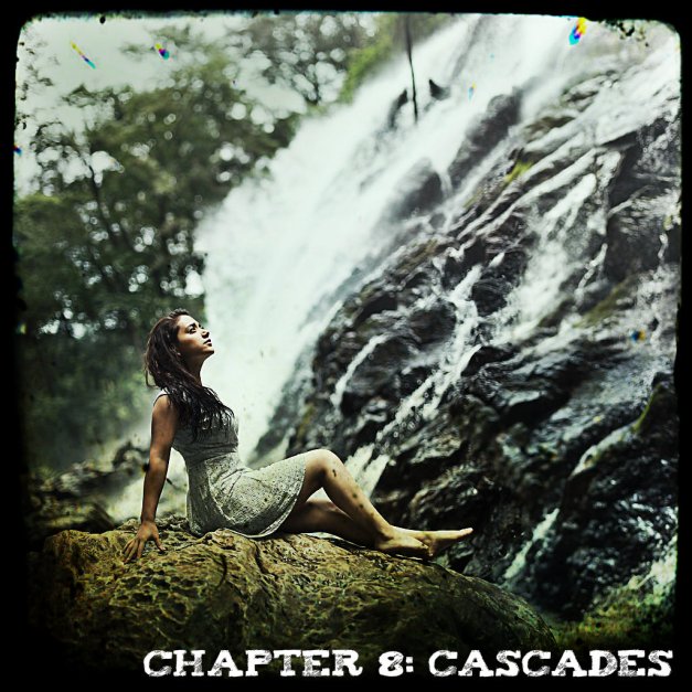 Chapter 8 - Cascades - Jorge Barreda