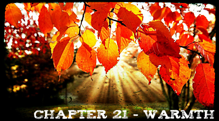 Chapter 21 - Warmth