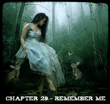 Chapter 29 - Remember Me