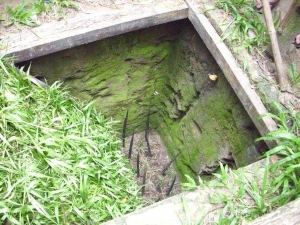 tiger-trap-72510601-1f53-4bdf-aaa2-7be7db4ef88-resize-750